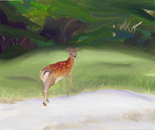 ホンドジカ/2007