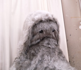 Yeti 01 /2008