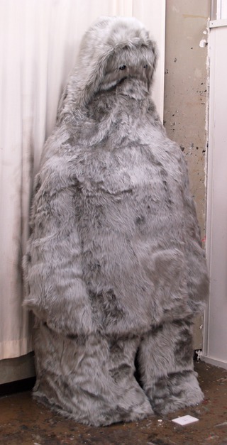 Yeti 01 /2008